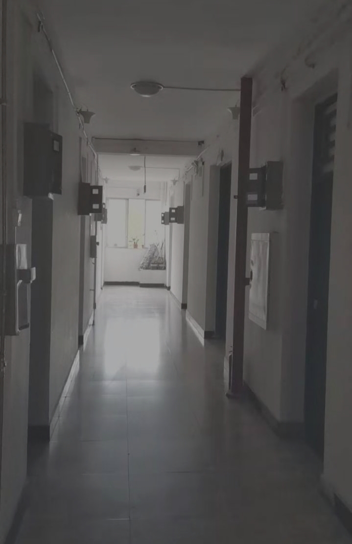 江蘇秋霞电影网案例實景（jǐng）圖